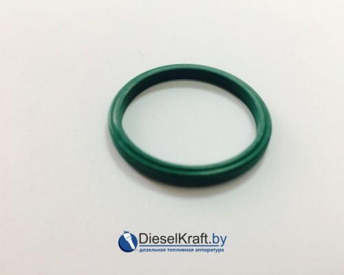 Уплотнительное кольцо OMS 10-01-160 1460210308 2460223001 1460210300
