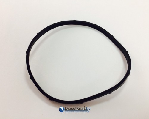 Уплотнительное кольцо OMS 10-01-062 1460206301 1460206303