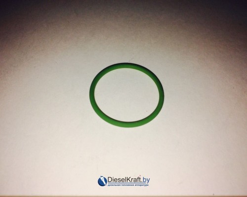 Уплотнительное кольцо BOSCH F01M100050